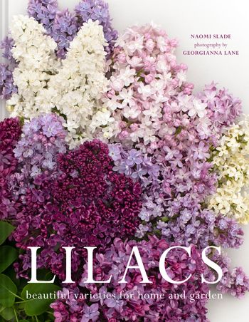Lilacs: Beautiful varieties for home and garden - Naomi Slade, Photographs by Georgianna Lane