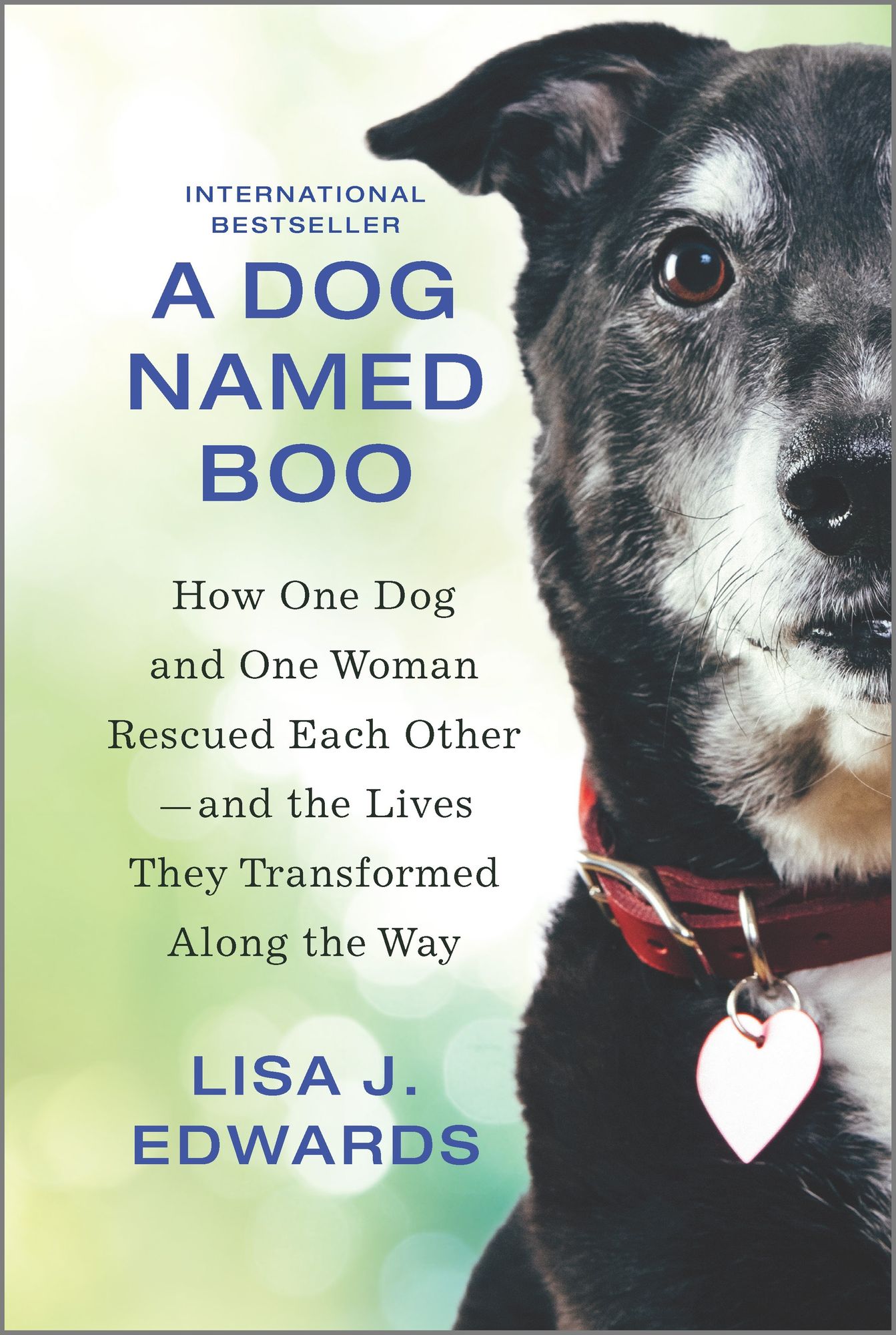 A Dog Named Book by Lisa J. Edwards