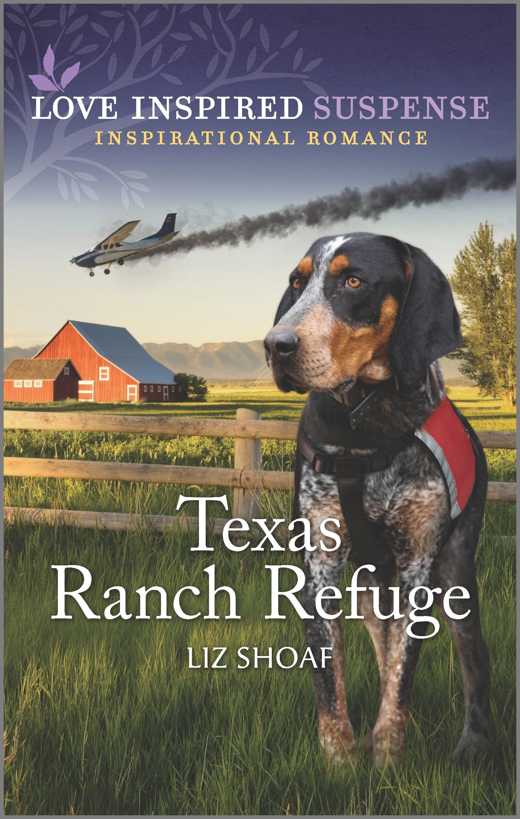 Texas Ranch Refuge Book Cover