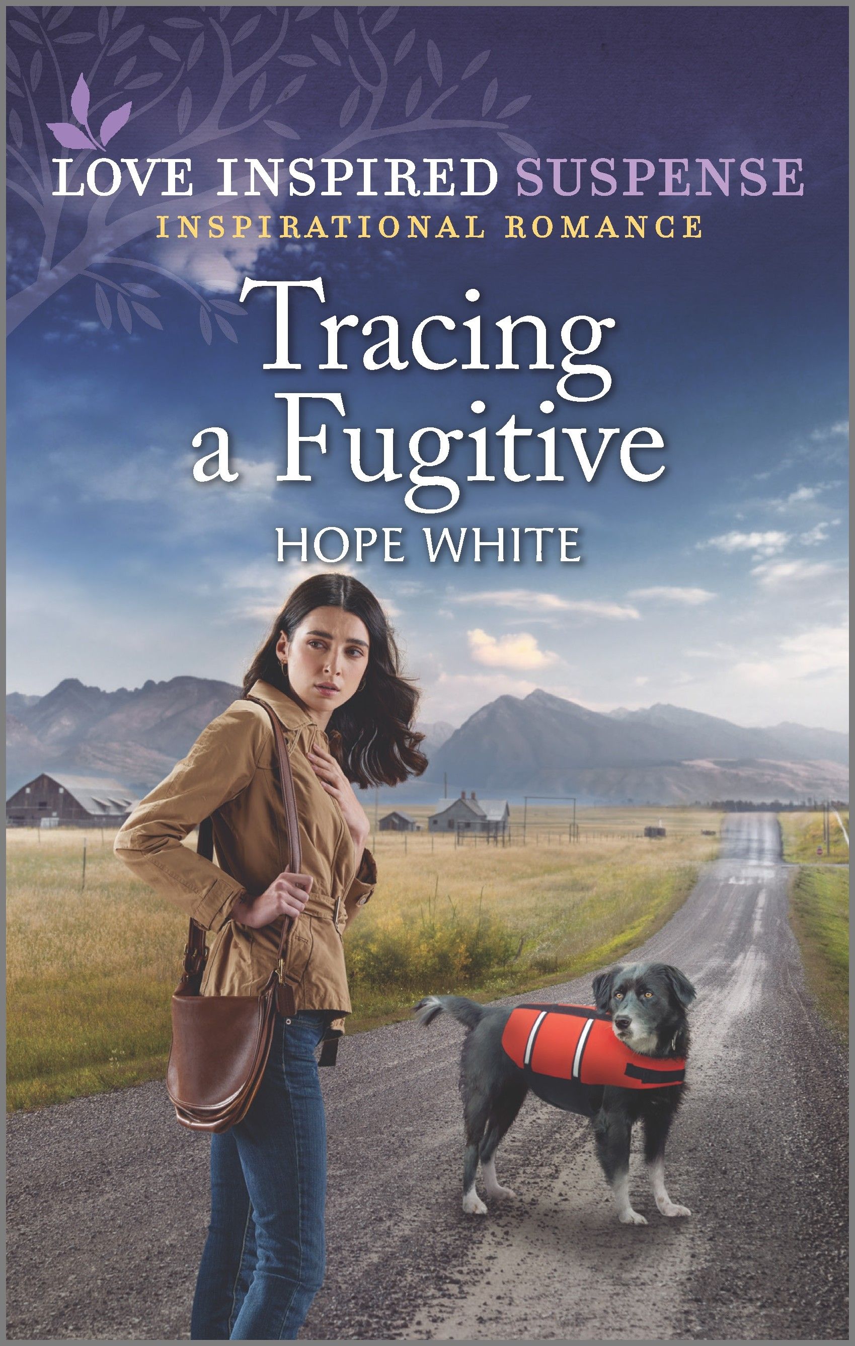Tracing a Fugitive Book Cover