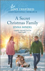 A Secret Christmas Family, Love Inspired