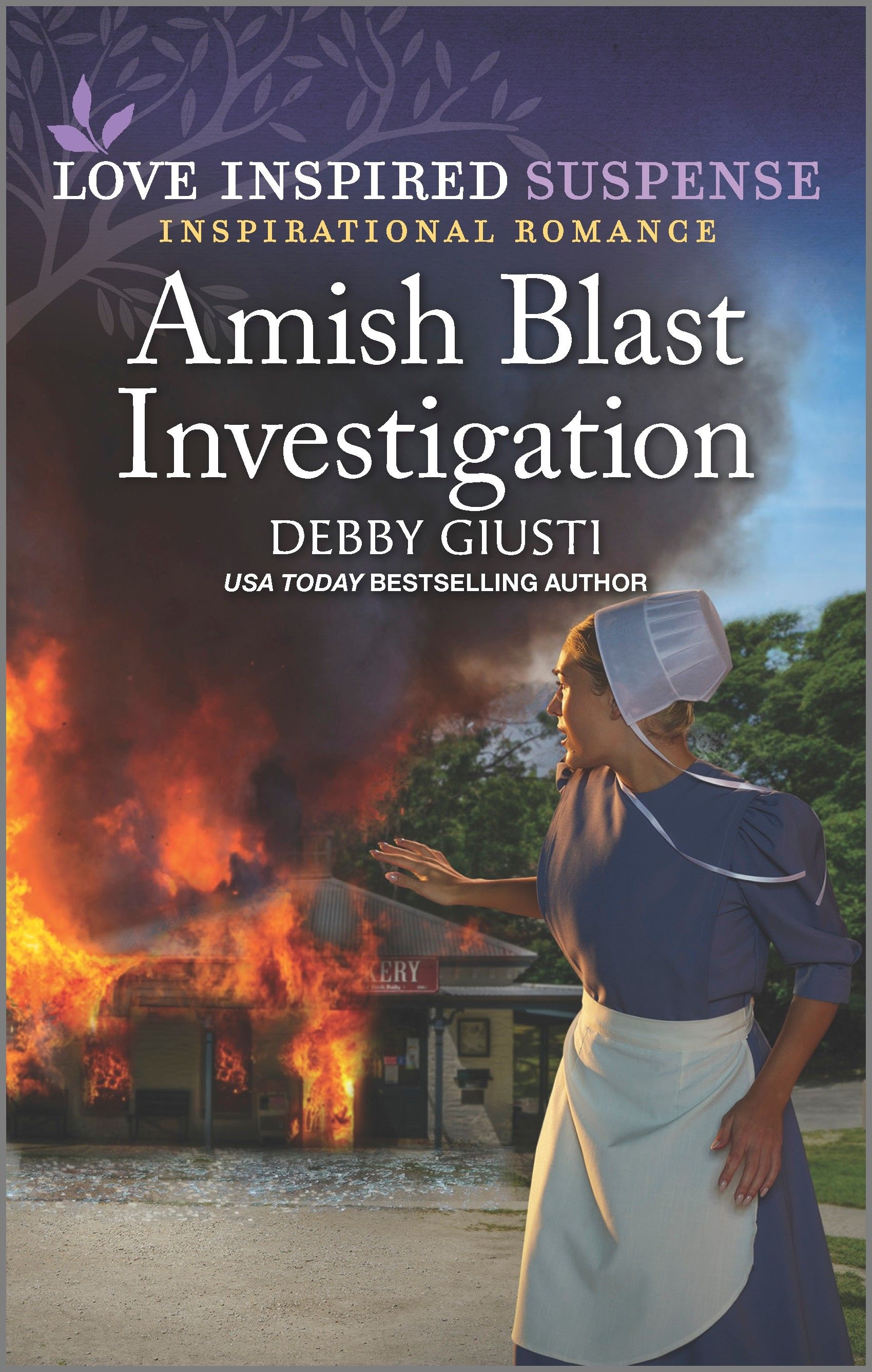Amish Blast Investigation Book Cover
