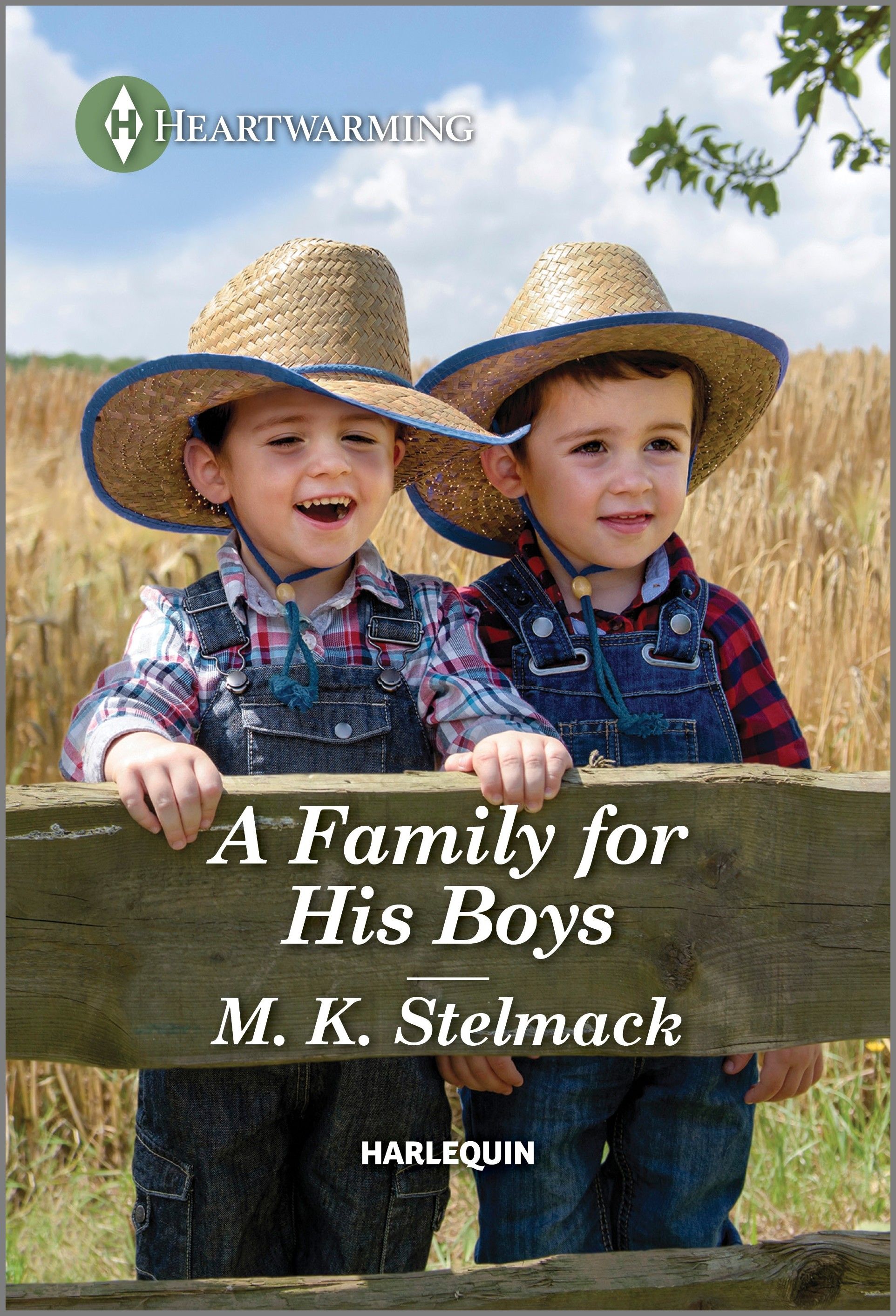 A Family for His Boys