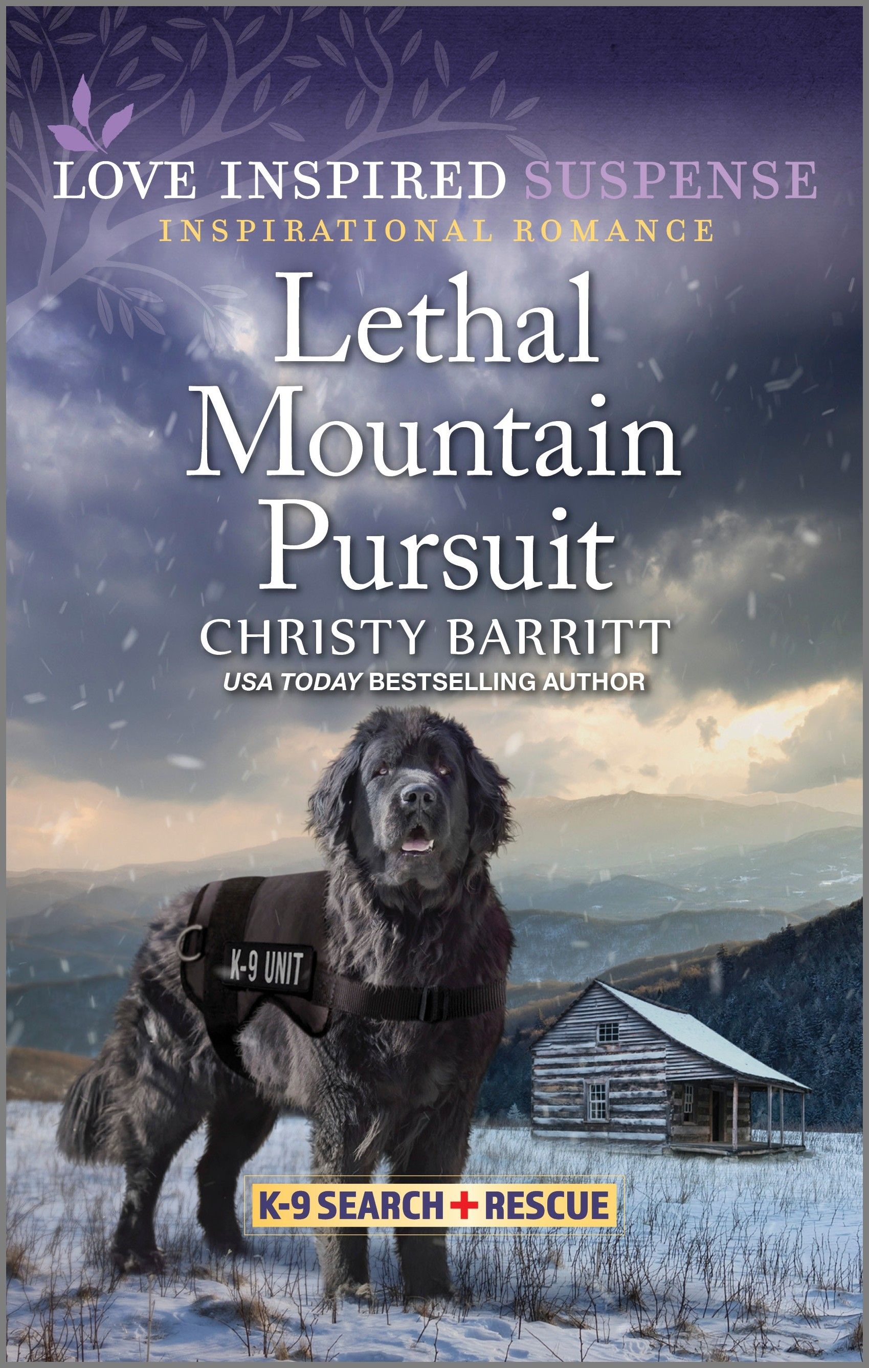 Lethal Mountain Pursuit Book Cover