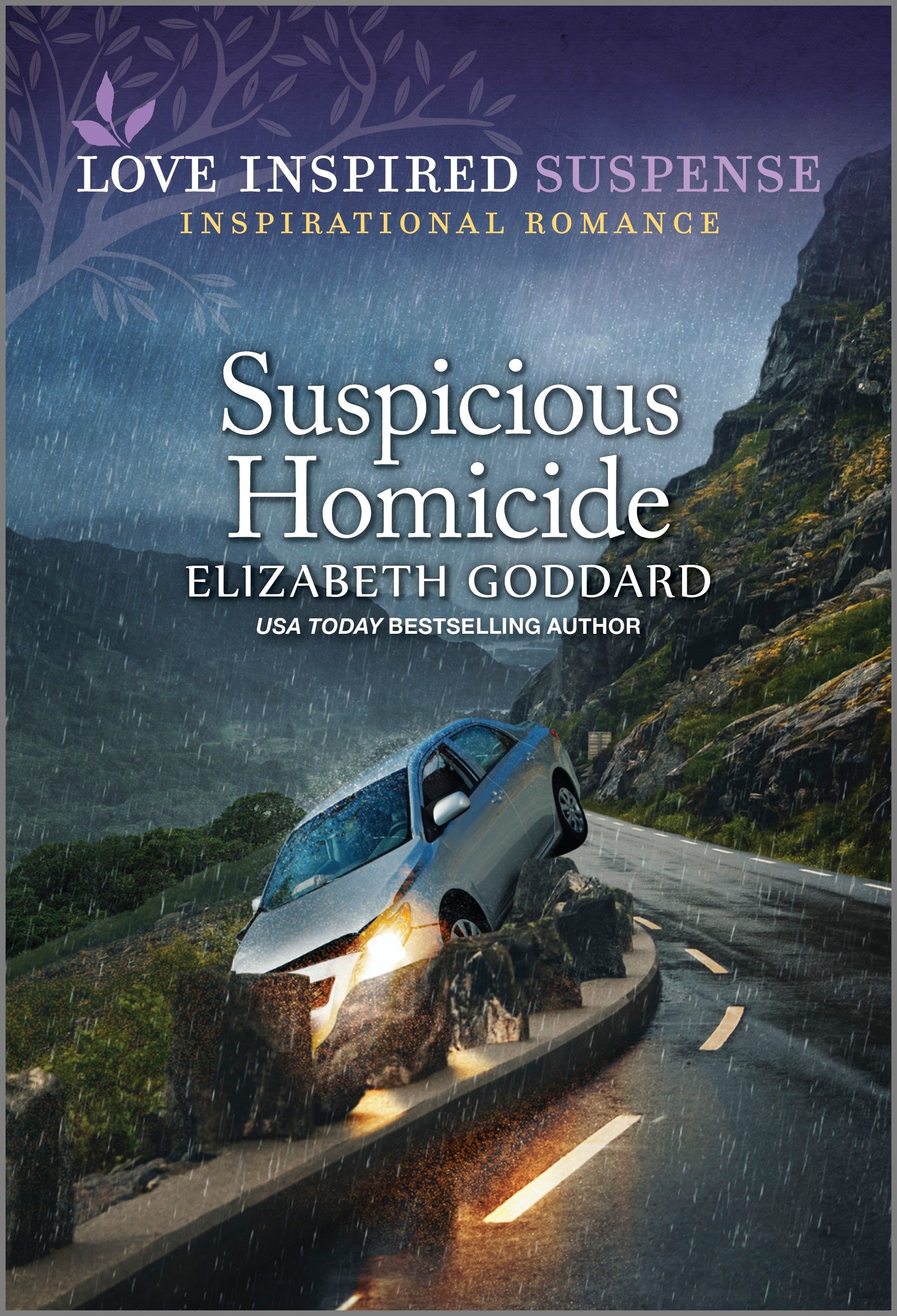 Suspicious Homicide Book Cover