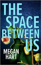 The Space Between Us eBook  by Megan Hart