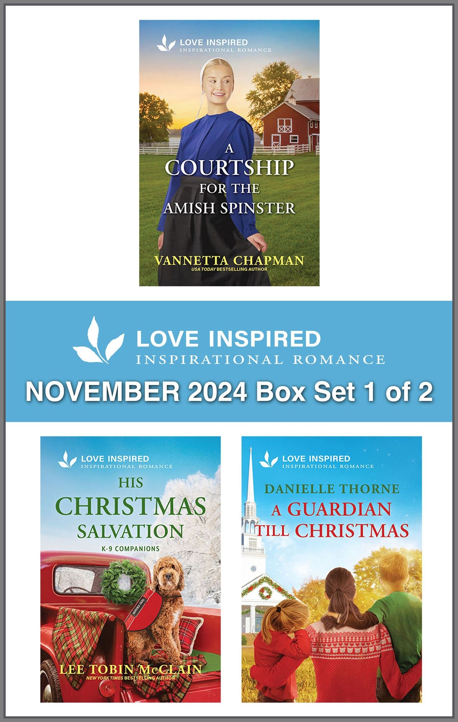 Love Inspired November 2024 Box Set - 1 of 2