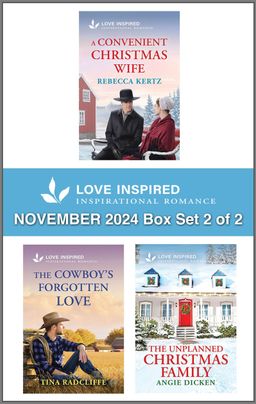 Love Inspired November 2024 Box Set - 2 of 2