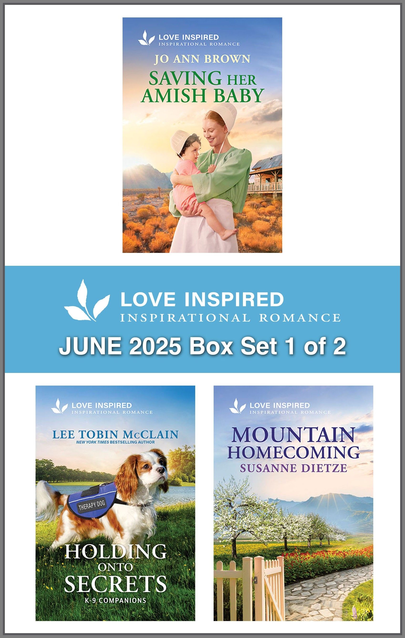 Love Inspired June 2025 Box Set 1 of 2