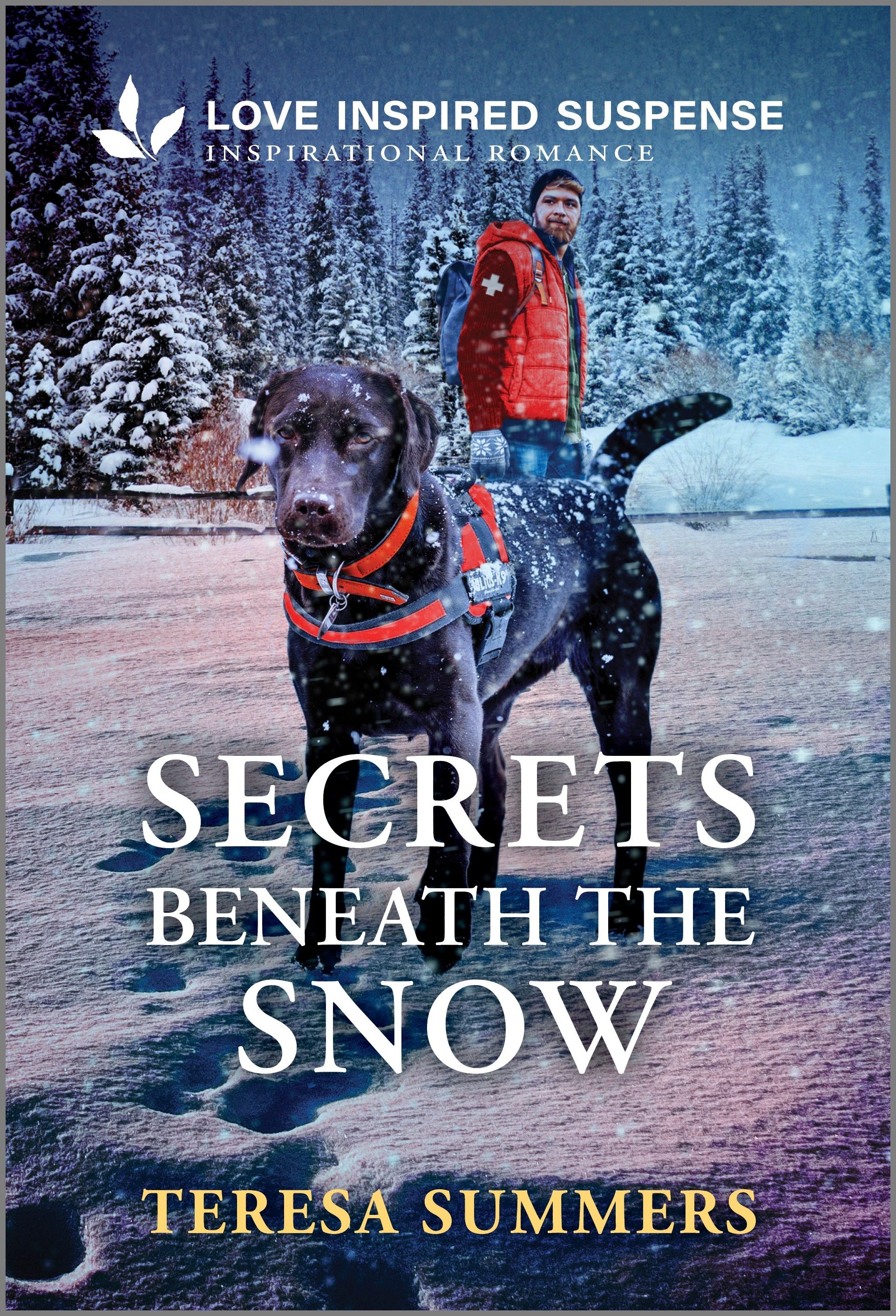 Secrets Beneath the Snow Book Cover