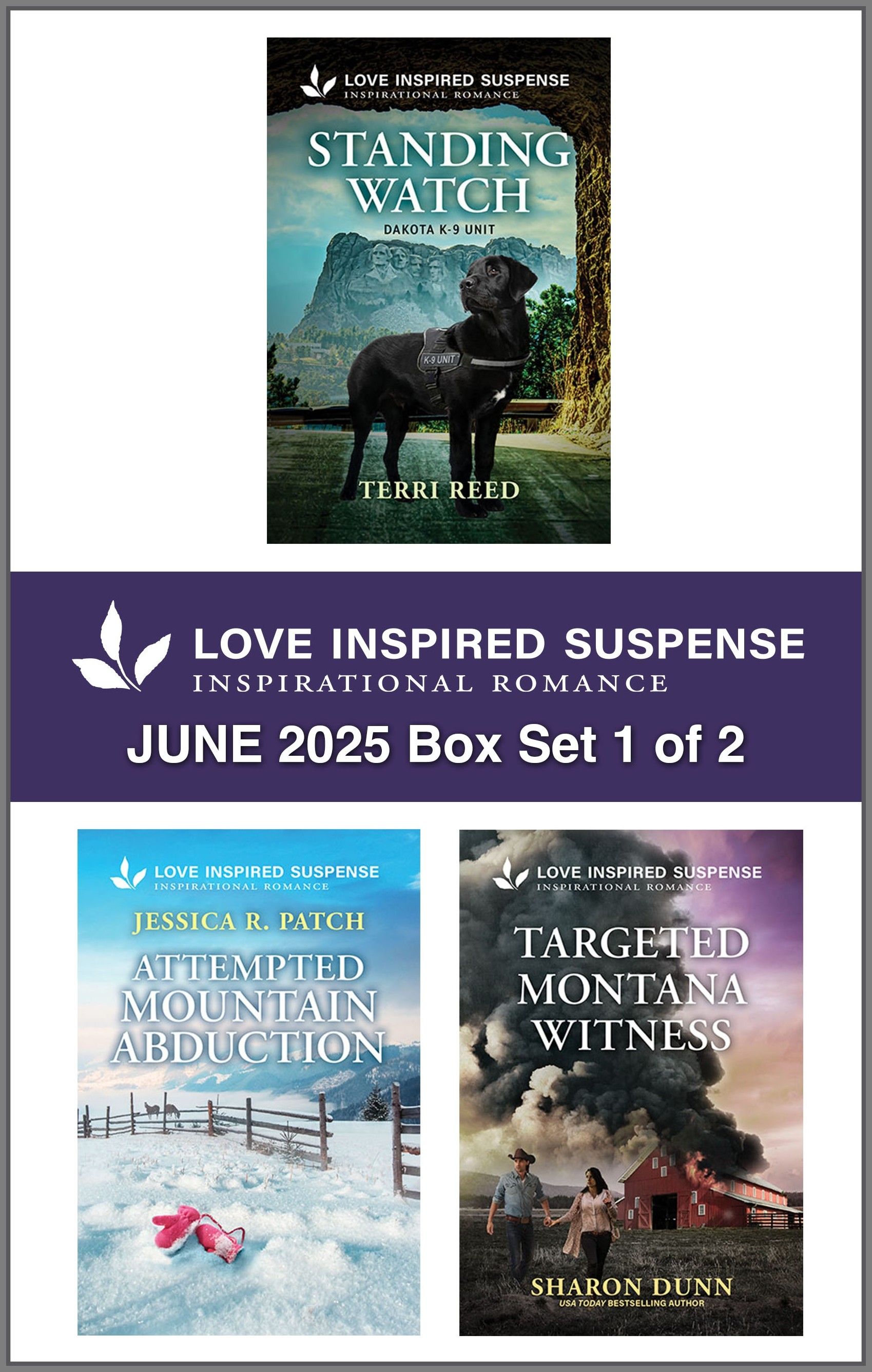 Love Inspired Suspense June 2025 - Box Set 1 of 2