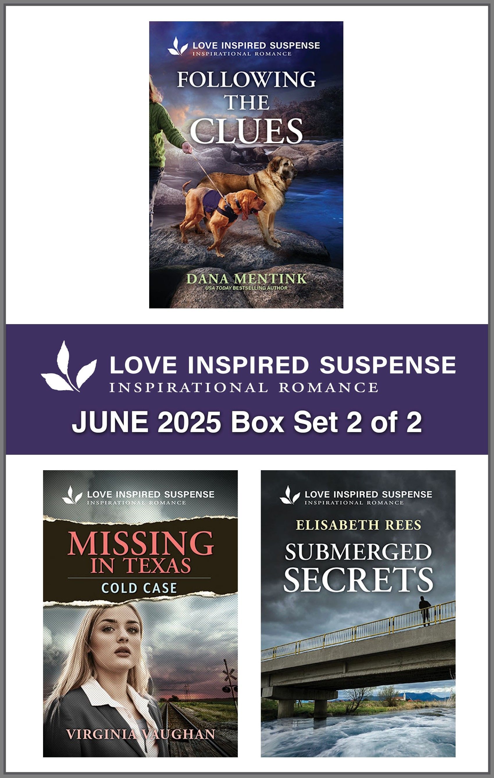 Love Inspired Suspense June 2025 - Box Set 2 of 2