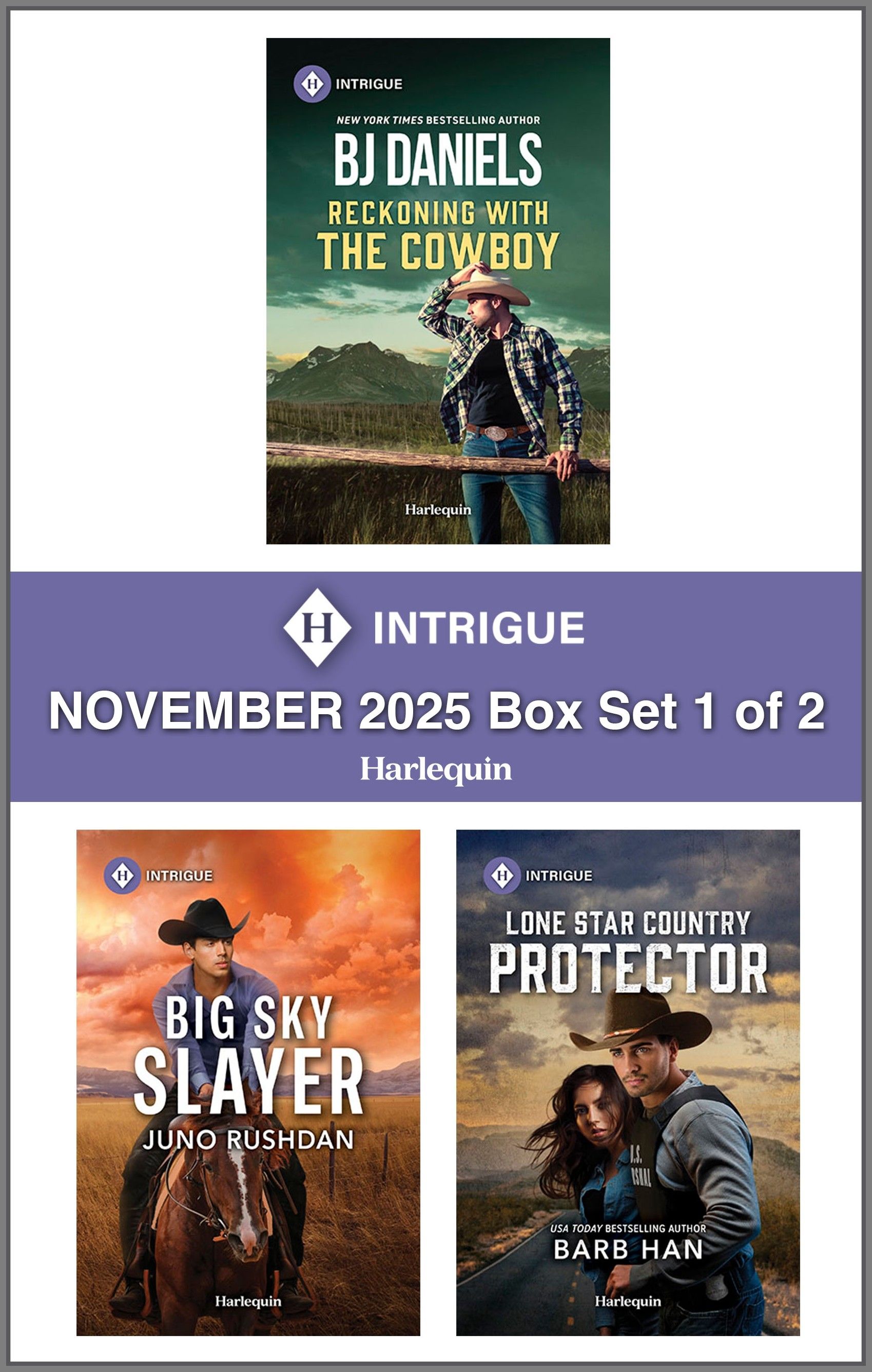 Harlequin Intrigue November 2025 - Box Set 1 of 2