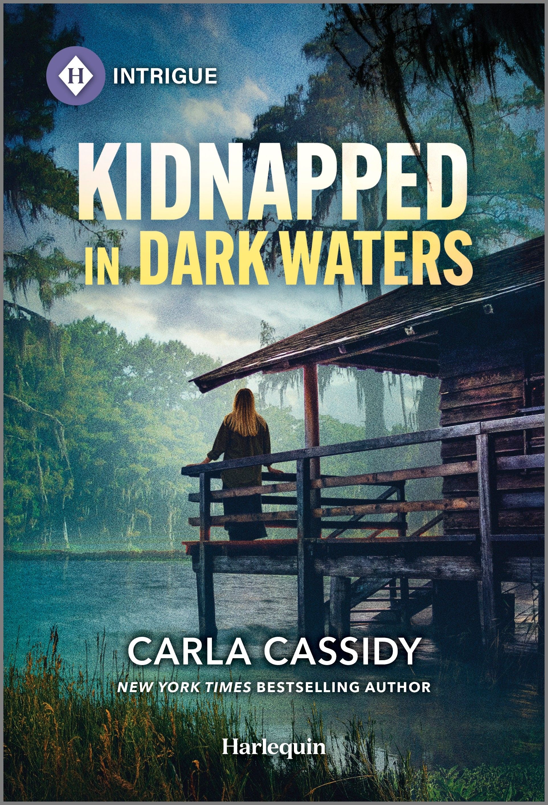 Kidnapped in Dark Waters