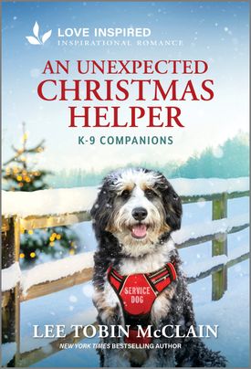 An Unexpected Christmas Helper
