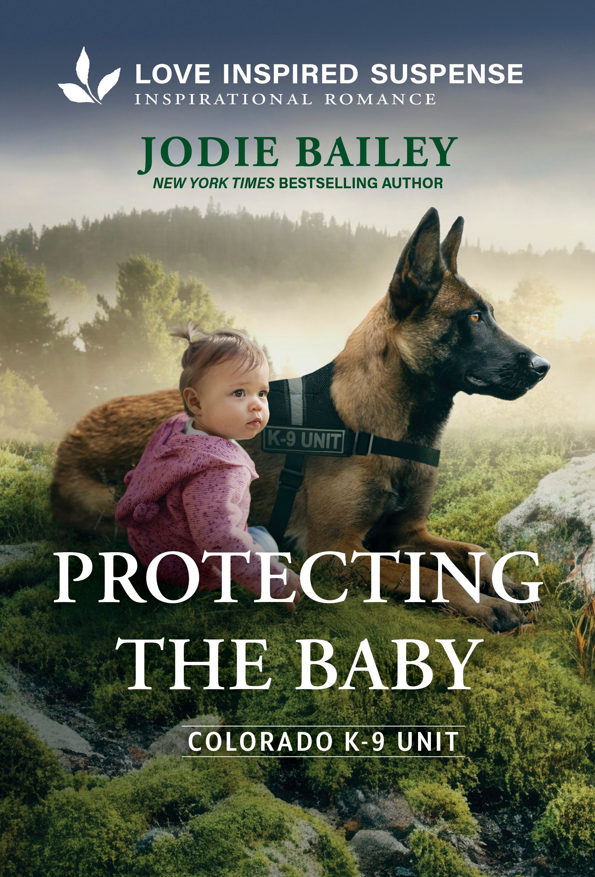 Protecting the Baby Book Cover
