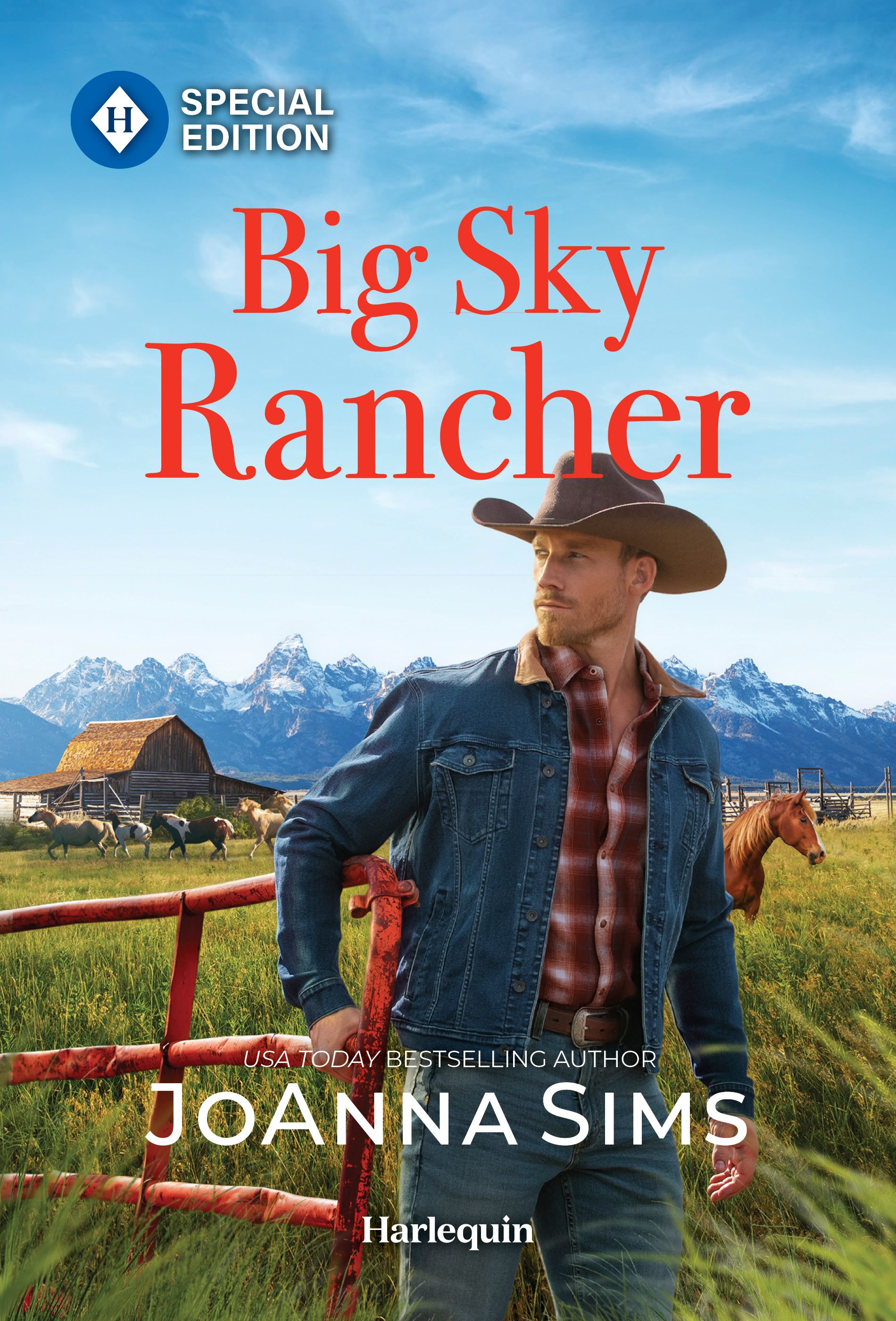 Big Sky Rancher