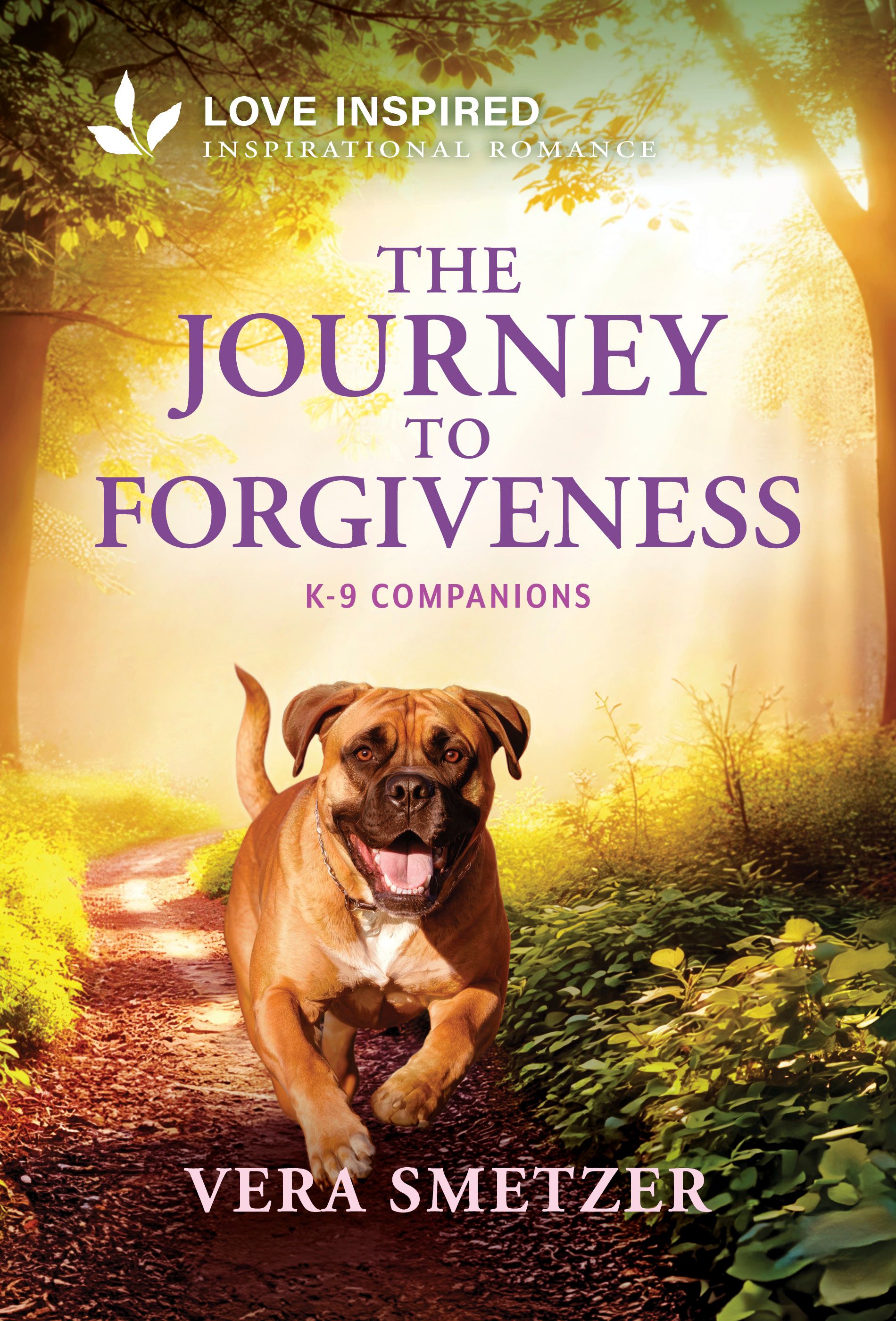 The Journey to Forgiveness Book Cover