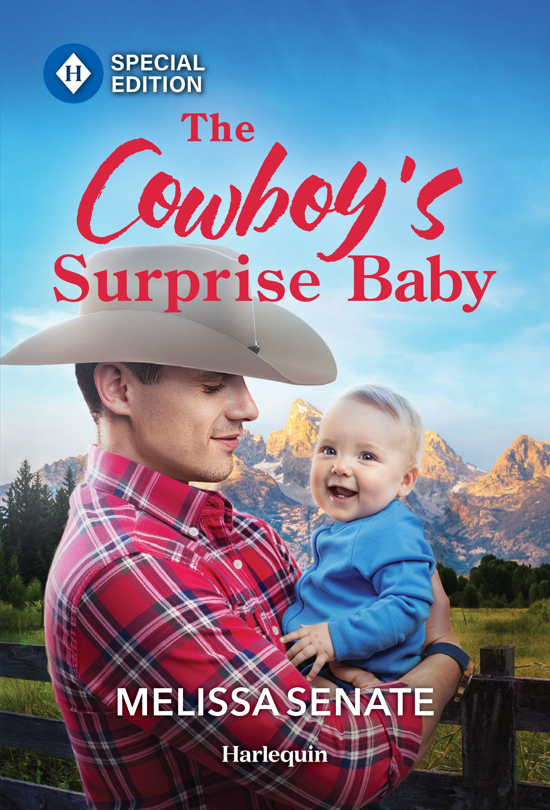 The Cowboy's Surprise Baby