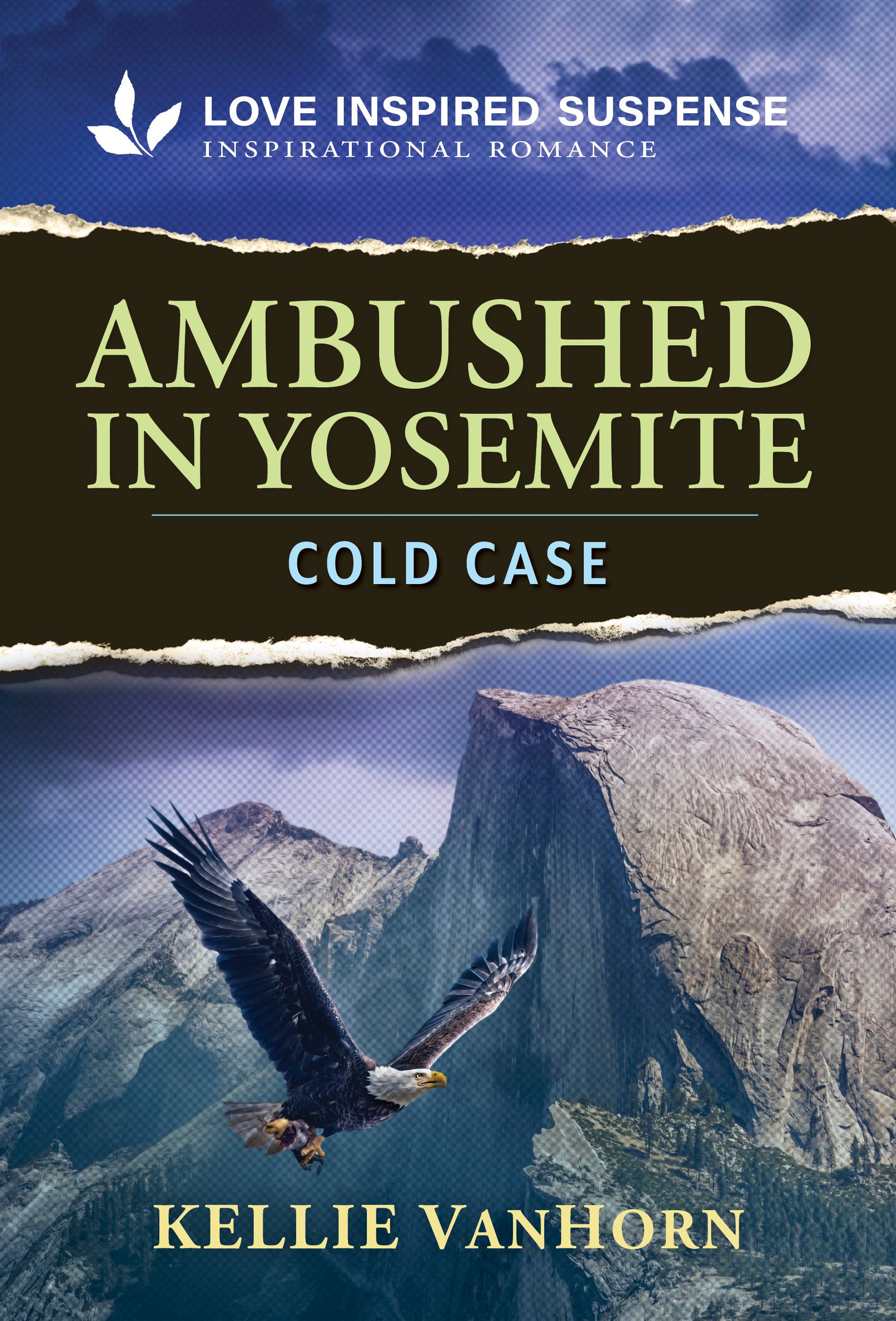 Ambushed in Yosemite Book Cover