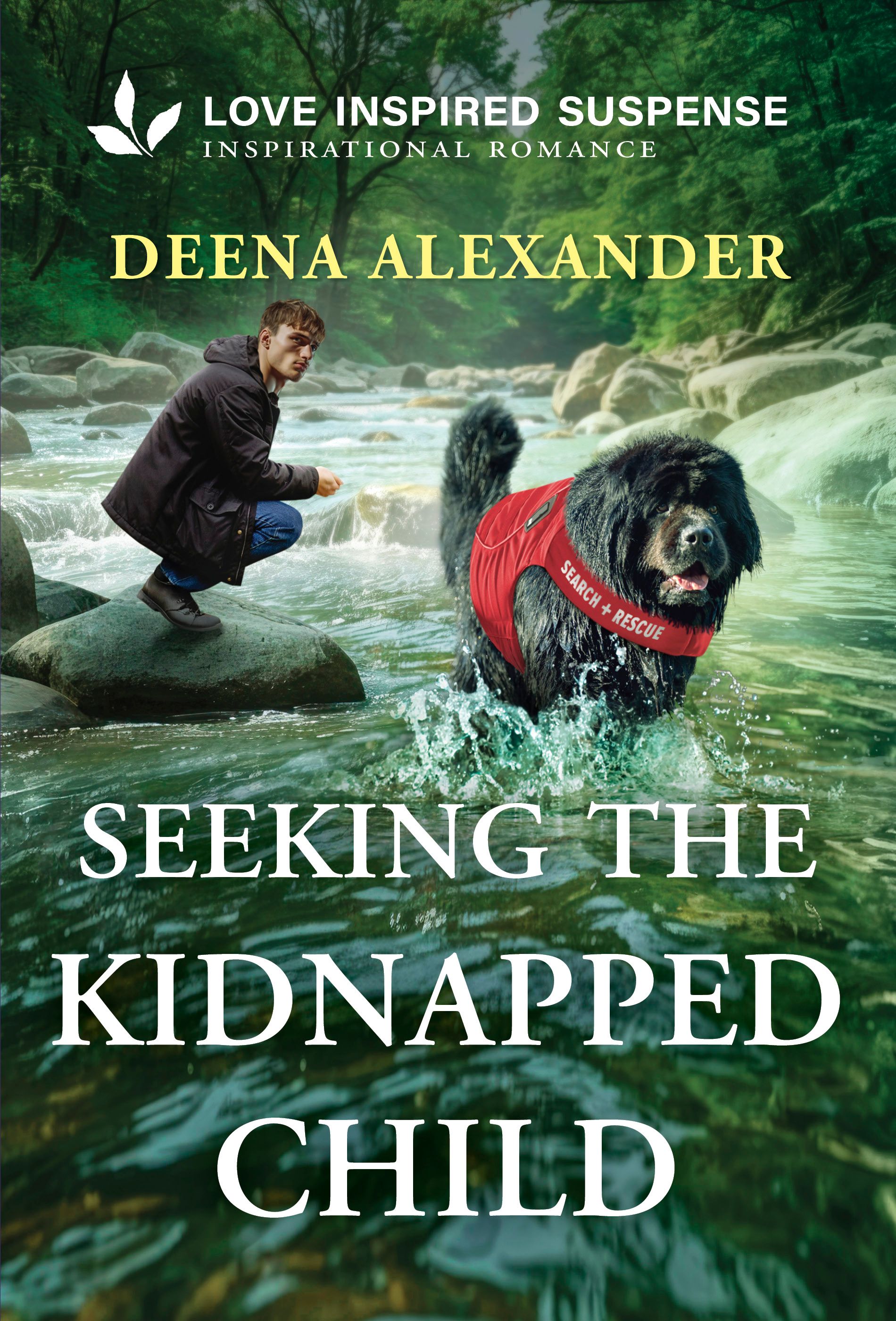 Seeking the Kidnapped Child Book Cover