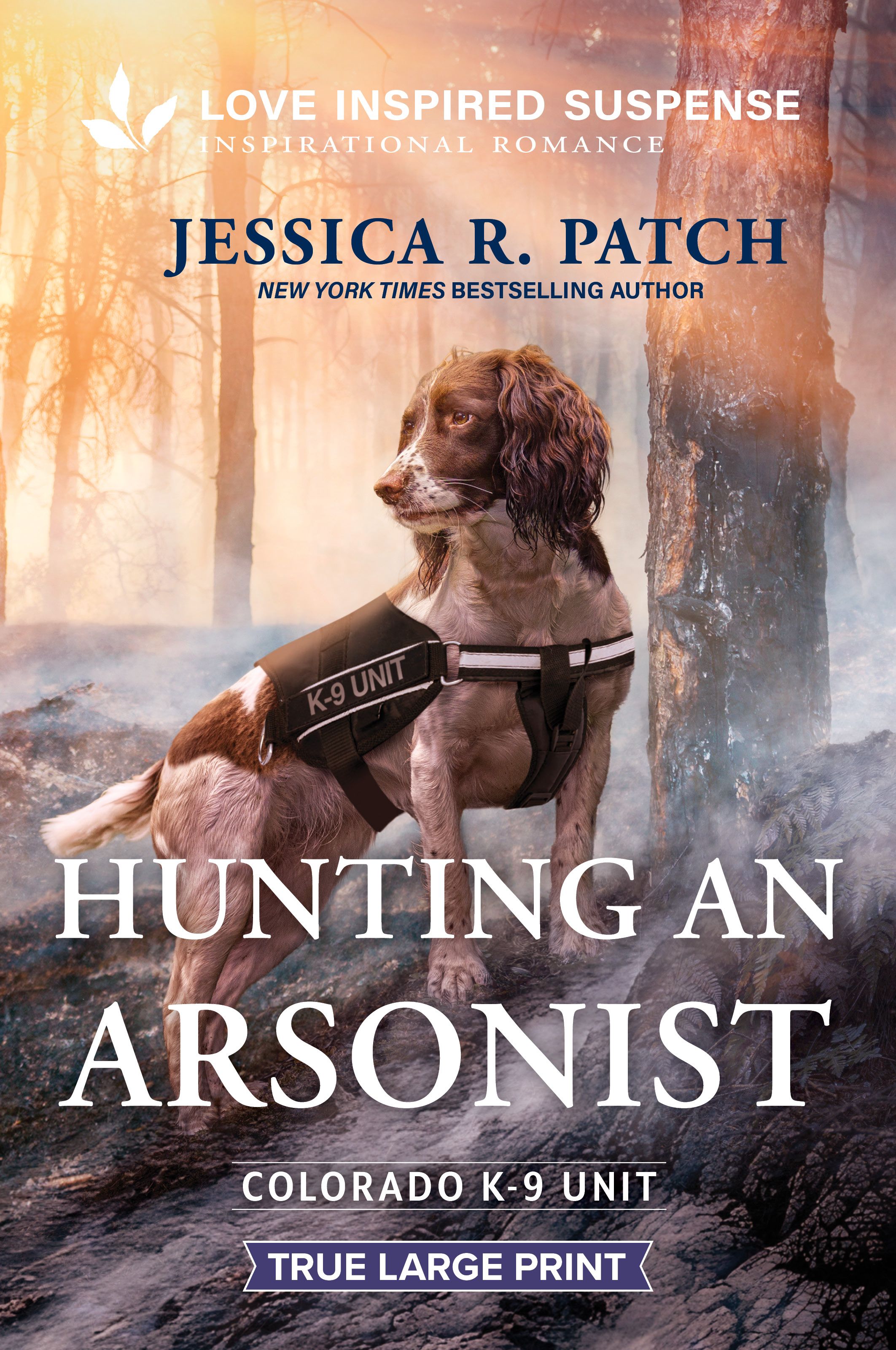 Hunting an Arsonist Book Cover