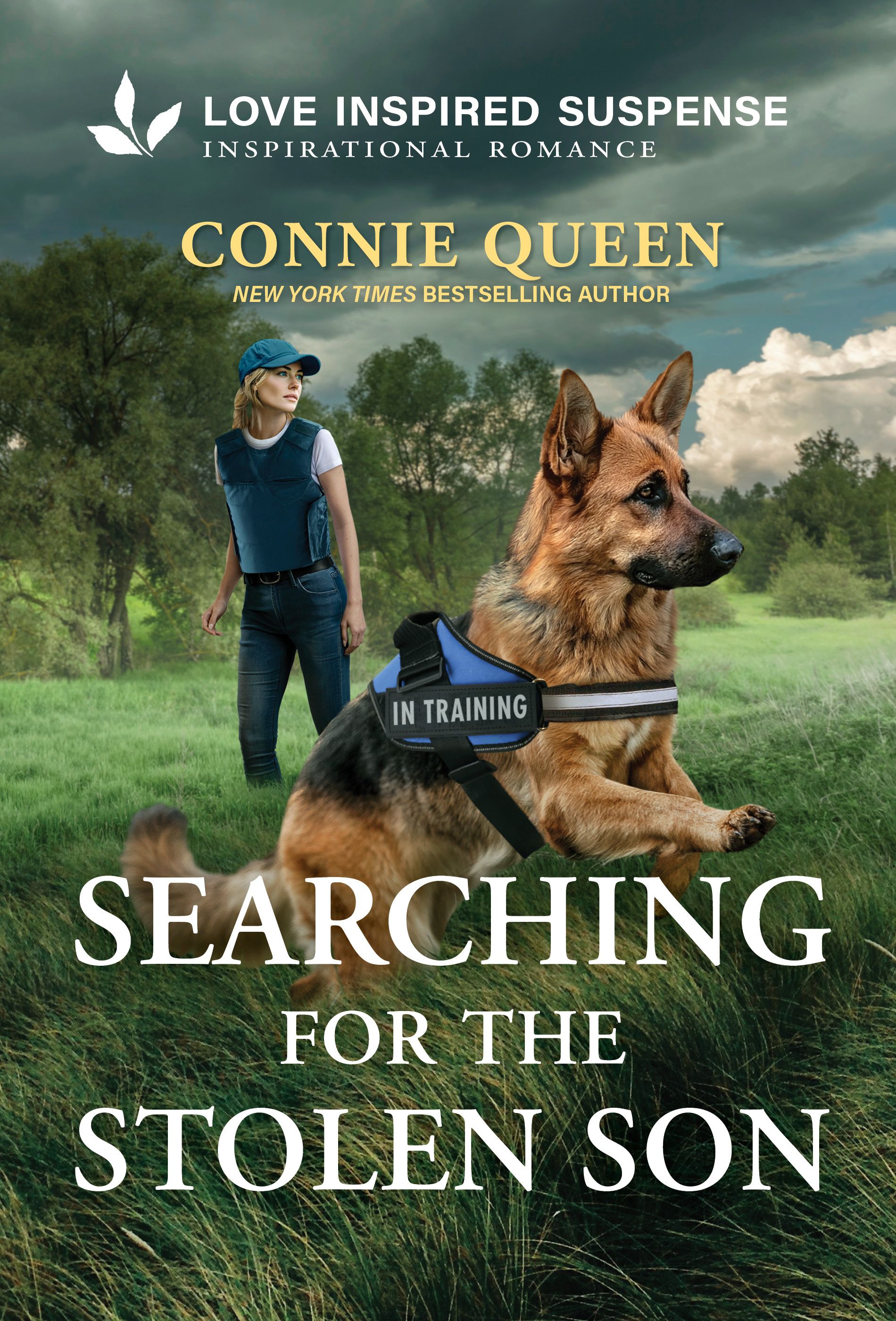 Searching for the Stolen Son Book Cover