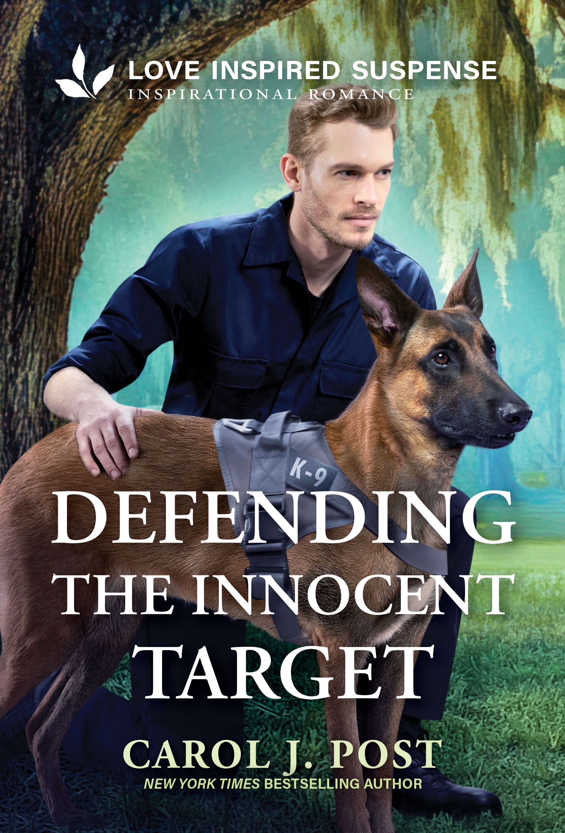 Defending the Innocent Target Book Cover