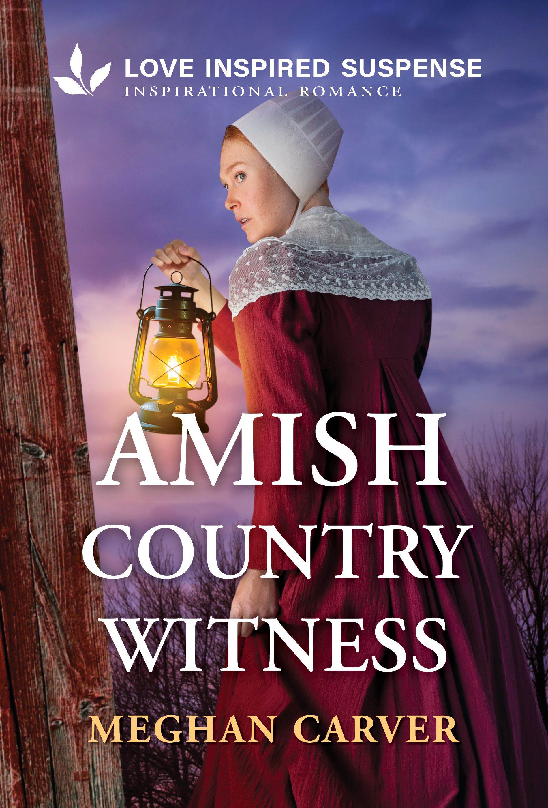 Amish Country Witness Book Cover