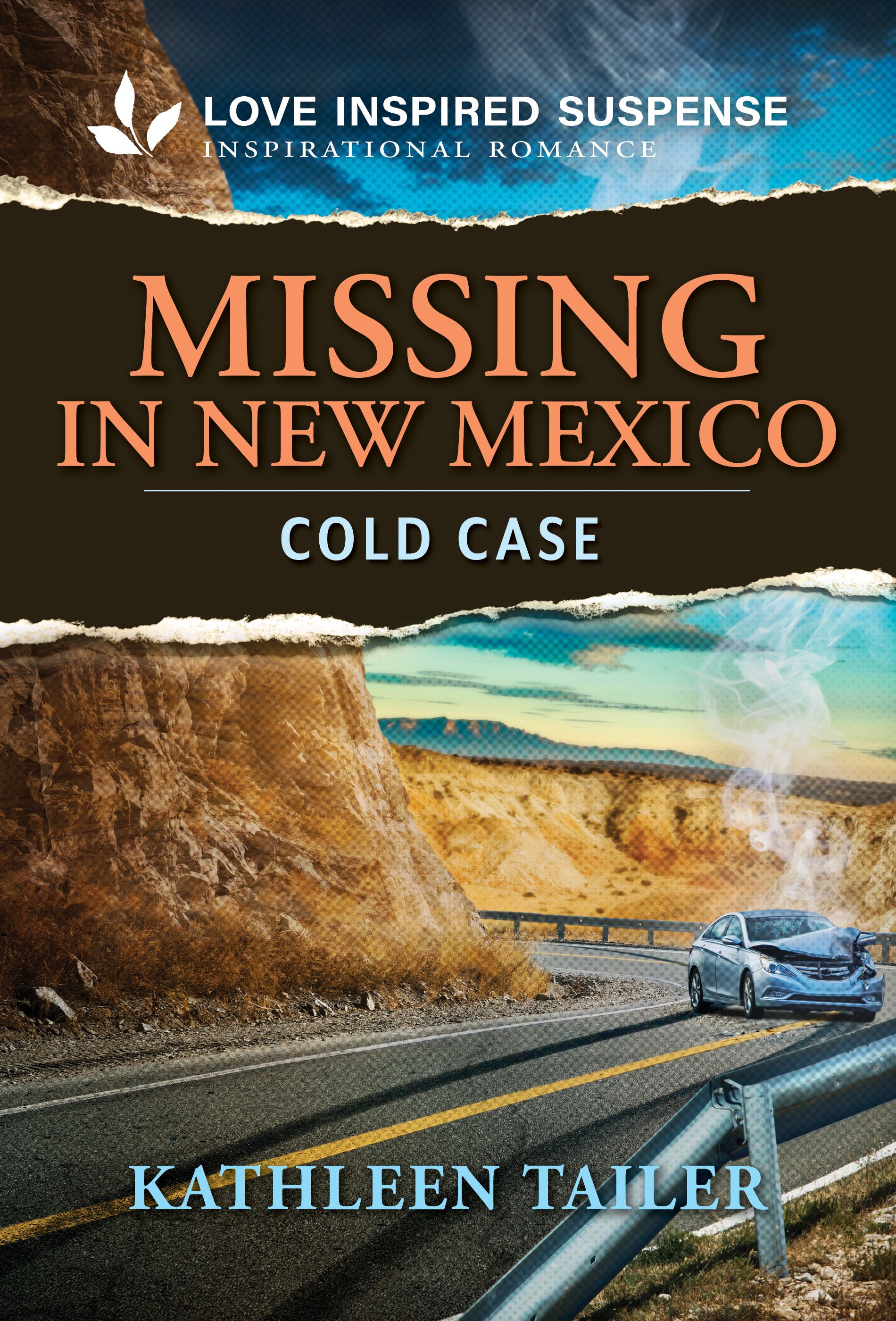 Missing in New Mexico Book Cover
