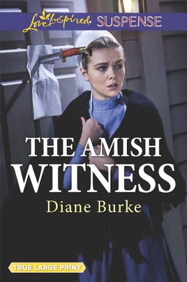The Amish Witness