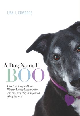 A Dog Named Boo