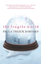 The Fragile World Paperback  by Paula Treick DeBoard