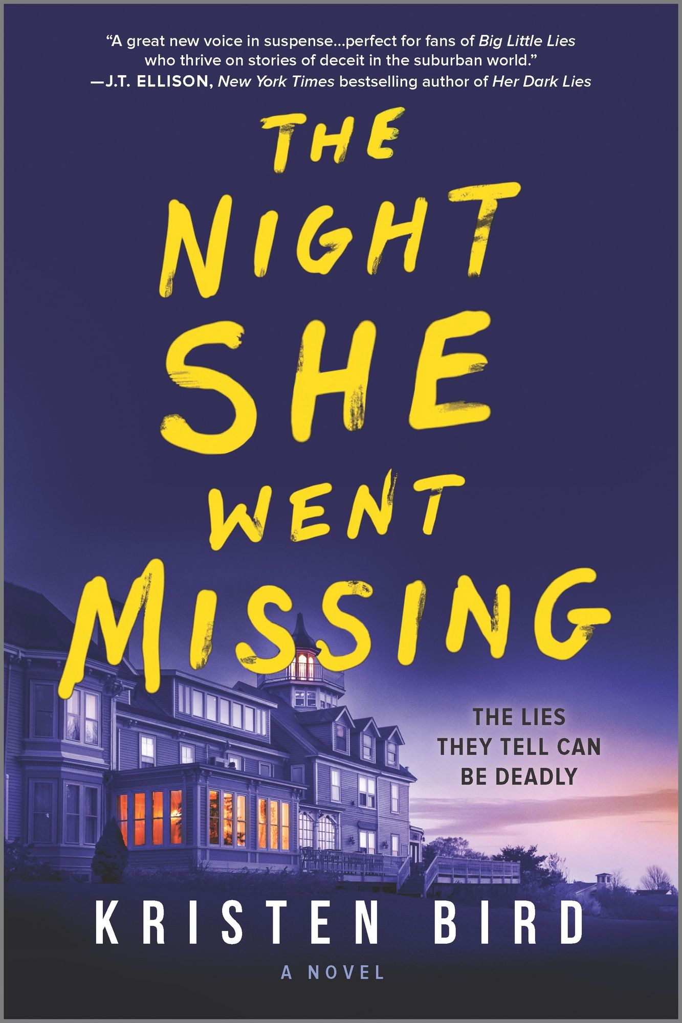 The Night She Went Missing by Kristen Bird