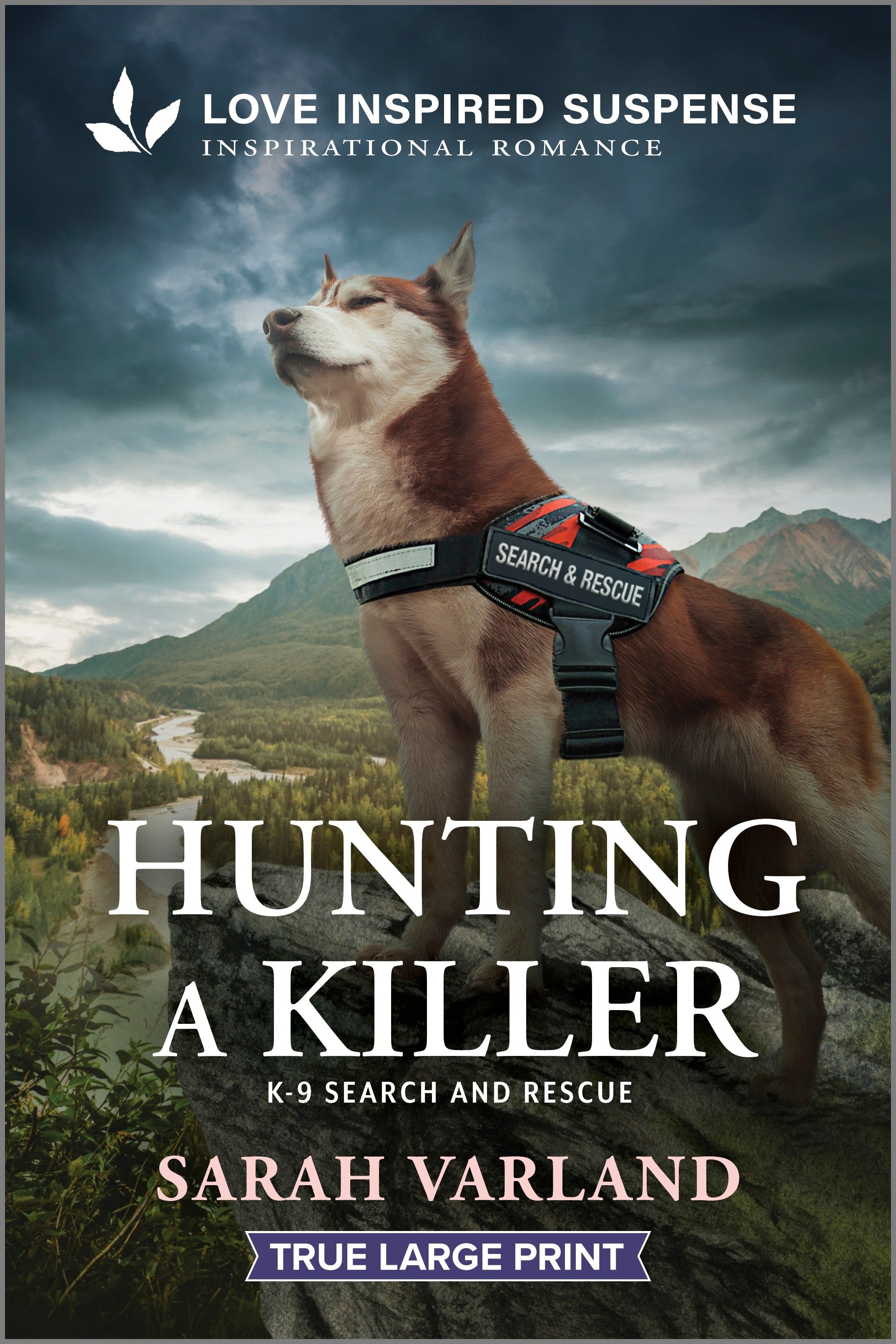 Hunting a Killer