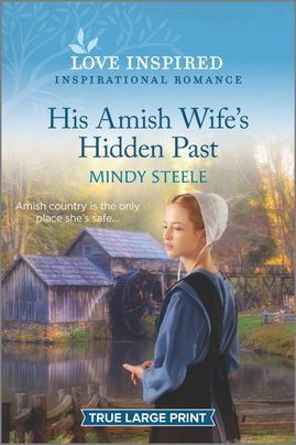 His Amish Wife's Hidden Past