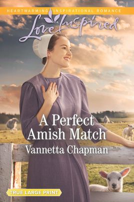 A Perfect Amish Match