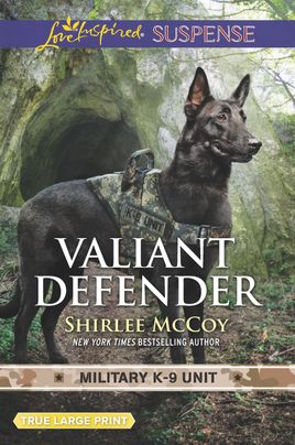 Valiant Defender