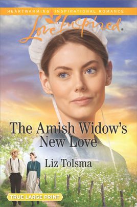 The Amish Widow's New Love