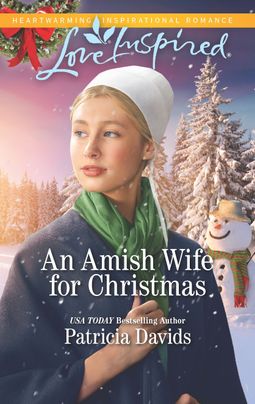 An Amish Wife for Christmas