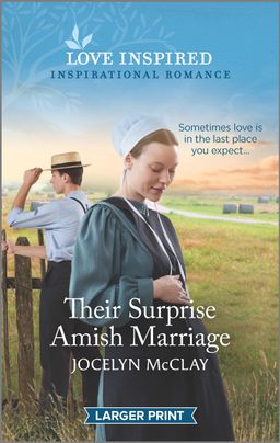 Their Surprise Amish Marriage