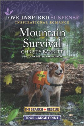 Mountain Survival
