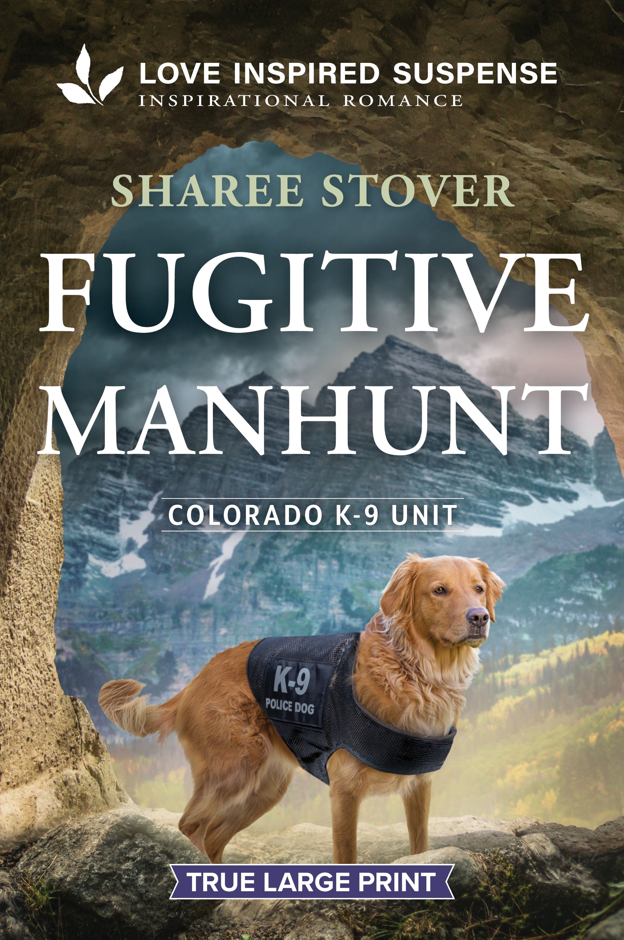 Fugitive Manhunt
