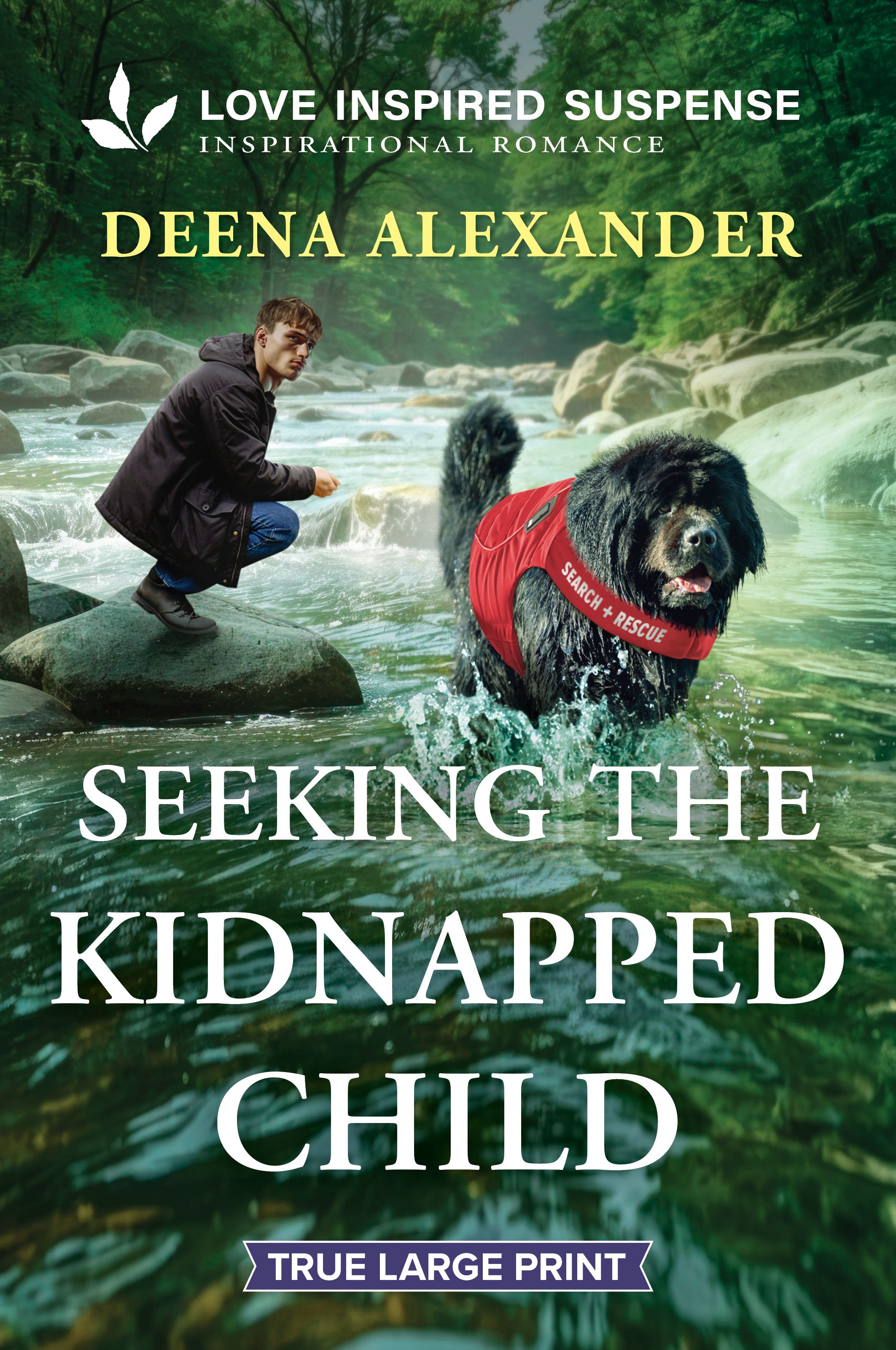 Seeking the Kidnapped Child