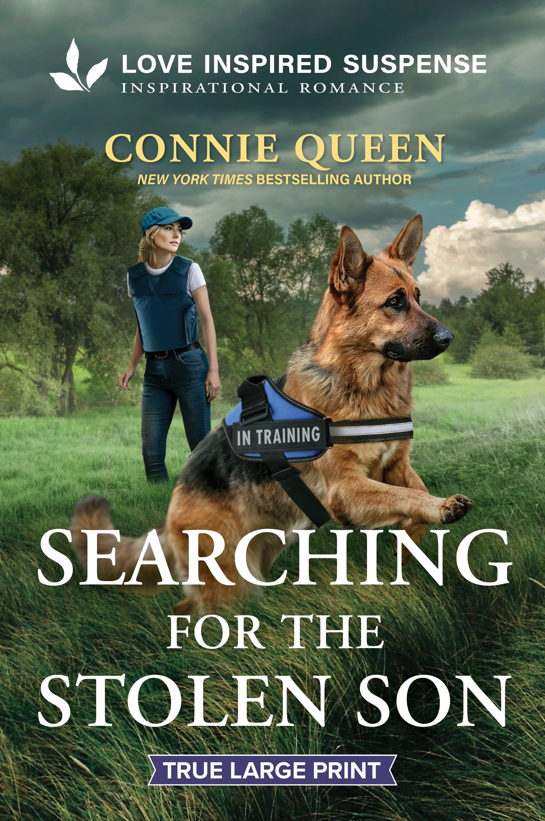 Searching for the Stolen Son