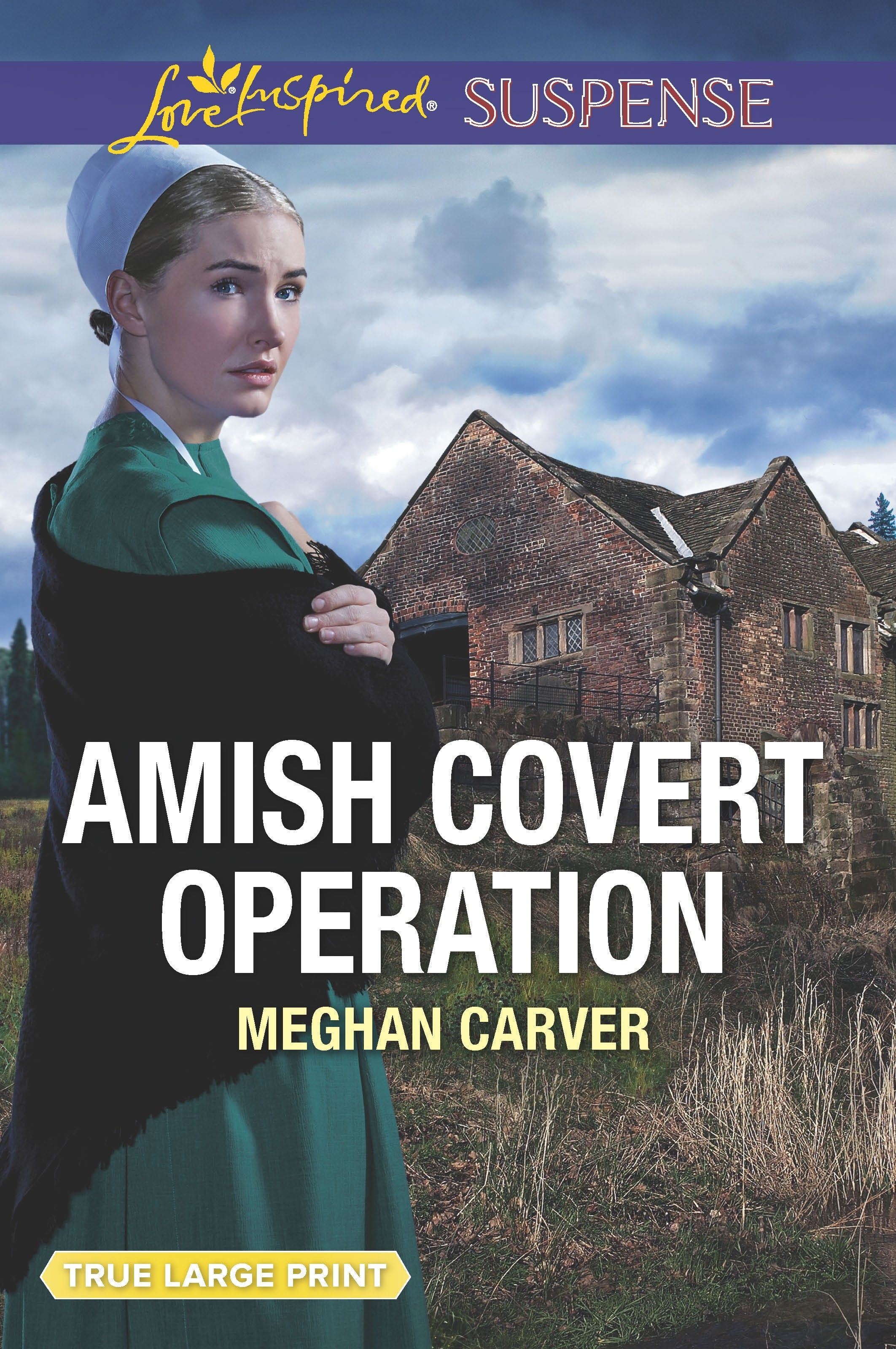Amish Covert Operation