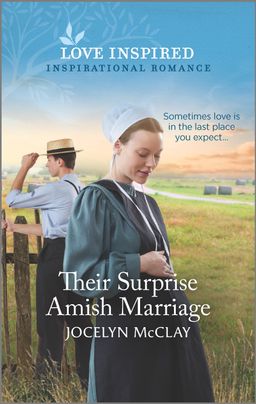 Their Surprise Amish Marriage
