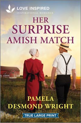 Her Surprise Amish Match