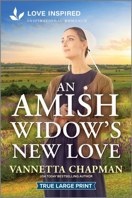 An Amish Widow's New Love