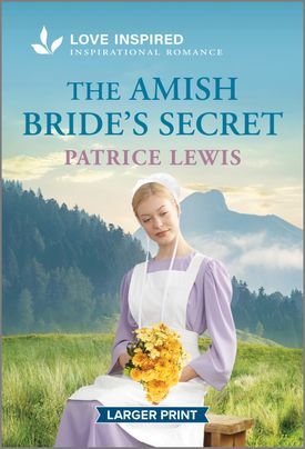 The Amish Bride's Secret